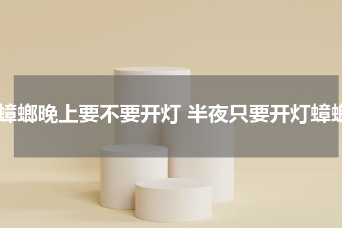 有蟑螂晚上要不要开灯 半夜只要开灯蟑螂