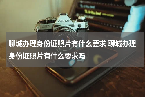 聊城办理身份证照片有什么要求 聊城办理身份证照片有什么要求吗