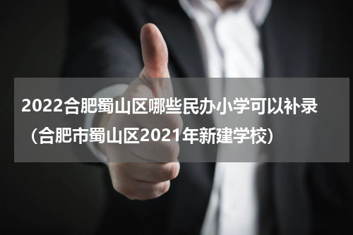 2022合肥蜀山区哪些民办小学可以补录（合肥市蜀山区2021年新建学校）