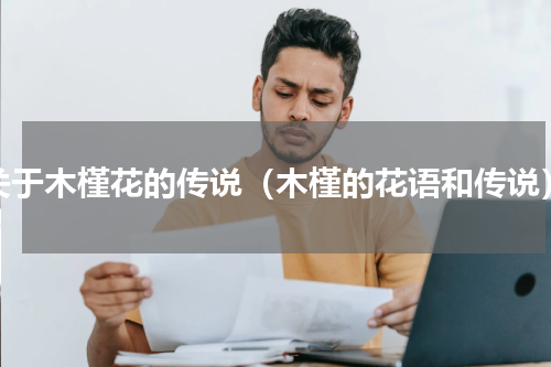 关于木槿花的传说（木槿的花语和传说）
