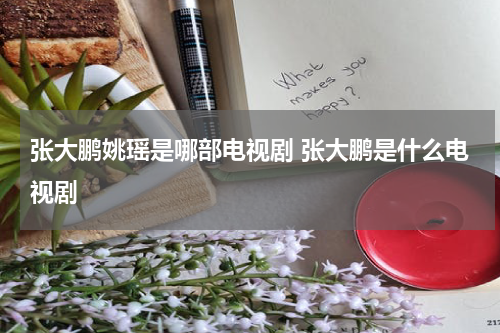 张大鹏姚瑶是哪部电视剧 张大鹏是什么电视剧