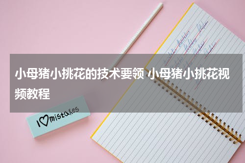 小母猪小挑花的技术要领 小母猪小挑花视频教程