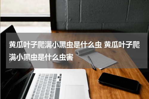 黄瓜叶子爬满小黑虫是什么虫 黄瓜叶子爬满小黑虫是什么虫害