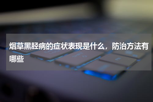 烟草黑胫病的症状表现是什么，防治方法有哪些