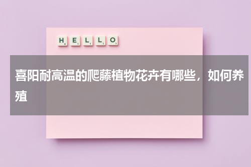 喜阳耐高温的爬藤植物花卉有哪些，如何养殖