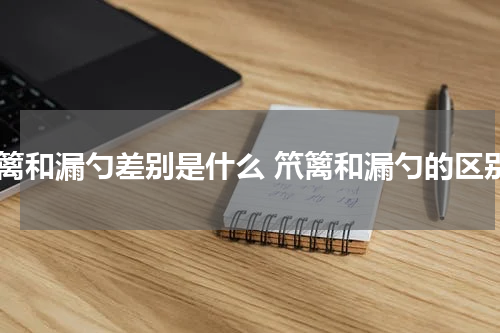 笊篱和漏勺差别是什么 笊篱和漏勺的区别