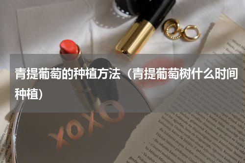 青提葡萄的种植方法（青提葡萄树什么时间种植）