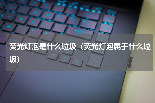 荧光灯泡是什么垃圾（荧光灯泡属于什么垃圾）