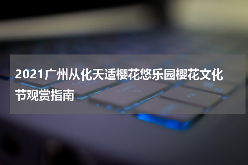 2021广州从化天适樱花悠乐园樱花文化节观赏指南