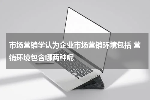 市场营销学认为企业市场营销环境包括 营销环境包含哪两种呢