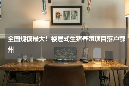 全国规模最大！楼层式生猪养殖项目落户鄂州
