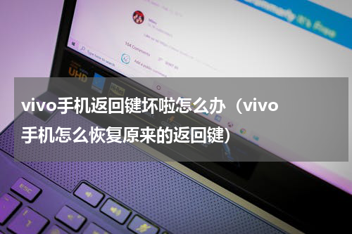 vivo手机返回键坏啦怎么办（vivo手机怎么恢复原来的返回键）