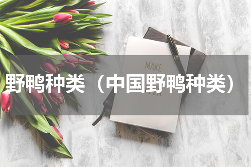 野鸭种类（中国野鸭种类）