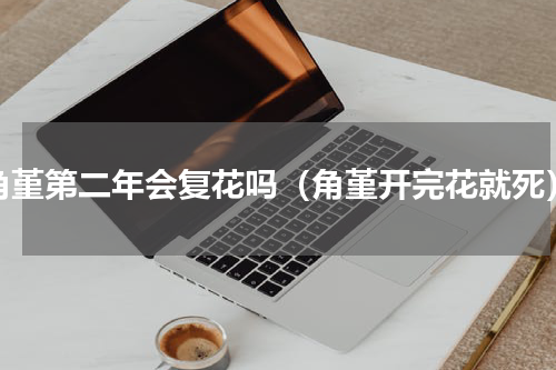 角堇第二年会复花吗（角堇开完花就死）