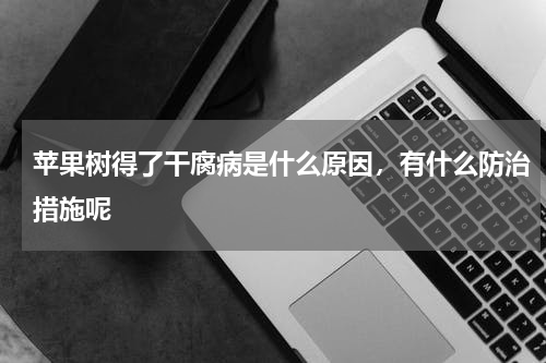 苹果树得了干腐病是什么原因，有什么防治措施呢