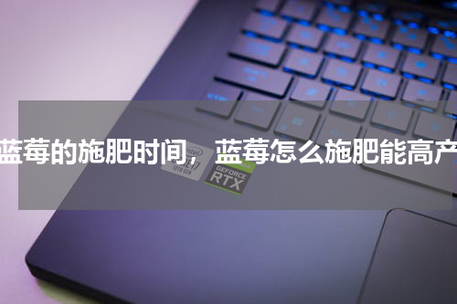 蓝莓的施肥时间，蓝莓怎么施肥能高产