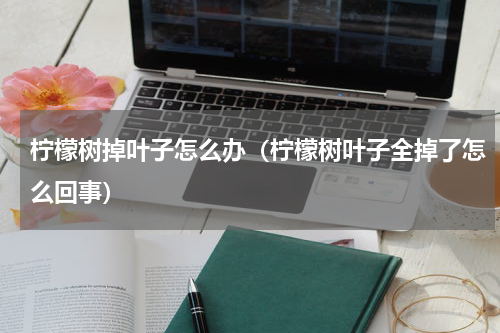 柠檬树掉叶子怎么办（柠檬树叶子全掉了怎么回事）