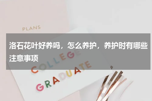 洛石花叶好养吗，怎么养护，养护时有哪些注意事项