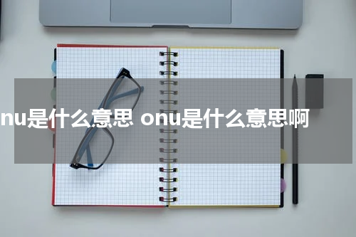 onu是什么意思 onu是什么意思啊