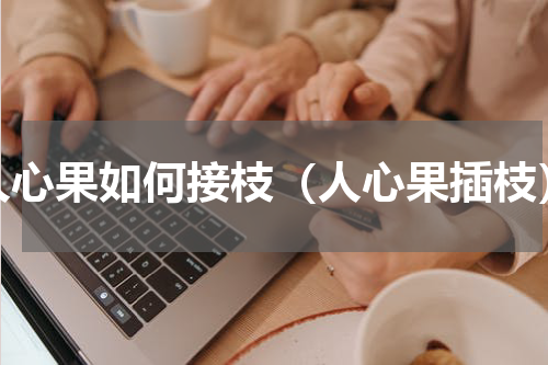 人心果如何接枝（人心果插枝）