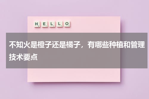 不知火是橙子还是橘子，有哪些种植和管理技术要点