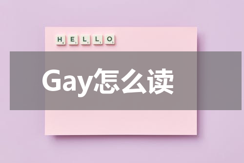 Gay怎么读