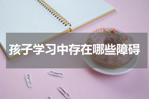 孩子学习中存在哪些障碍