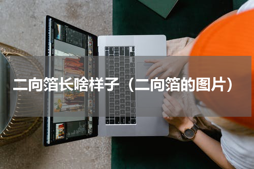 二向箔长啥样子（二向箔的图片）