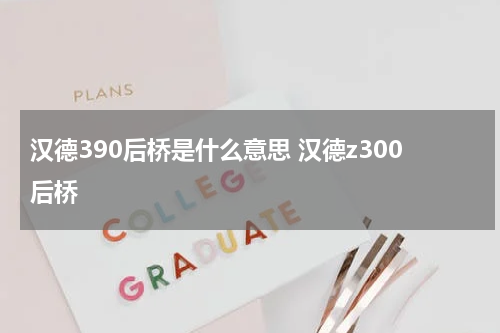 汉德390后桥是什么意思 汉德z300后桥