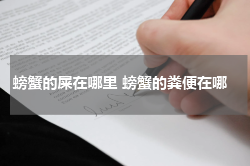 螃蟹的屎在哪里 螃蟹的粪便在哪