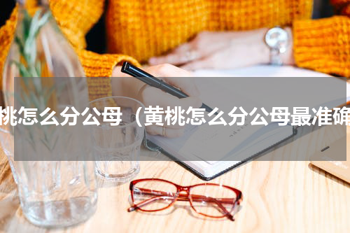 黄桃怎么分公母（黄桃怎么分公母最准确）