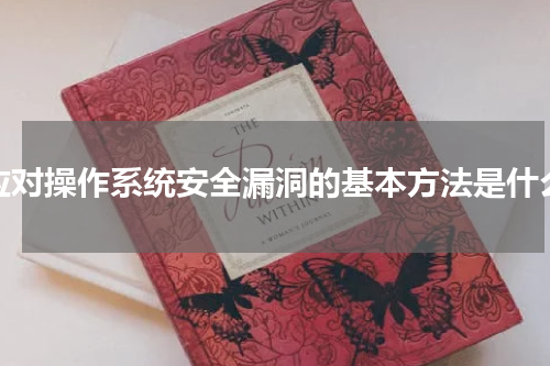 应对操作系统安全漏洞的基本方法是什么