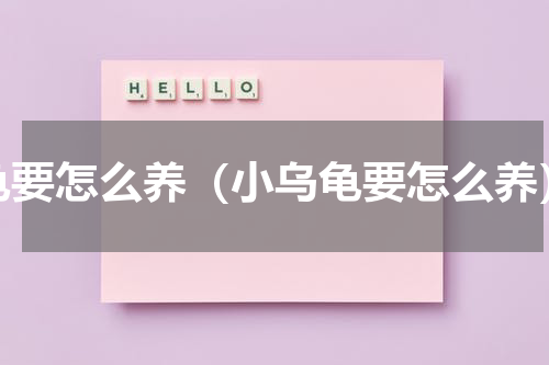 龟要怎么养（小乌龟要怎么养）