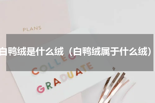 白鸭绒是什么绒（白鸭绒属于什么绒）