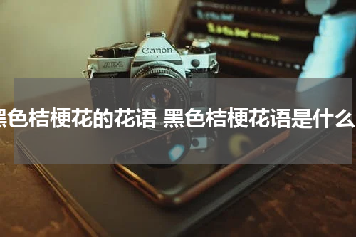 黑色桔梗花的花语 黑色桔梗花语是什么