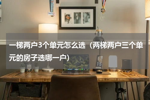 一梯两户3个单元怎么选（两梯两户三个单元的房子选哪一户）