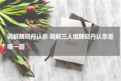 调解魏晓丹认亲 调解三人组魏晓丹认亲是哪一期
