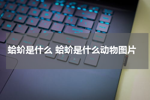 蛤蚧是什么 蛤蚧是什么动物图片