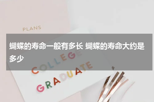 蝴蝶的寿命一般有多长 蝴蝶的寿命大约是多少