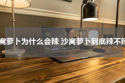 沙窝萝卜为什么会辣 沙窝萝卜到底辣不辣