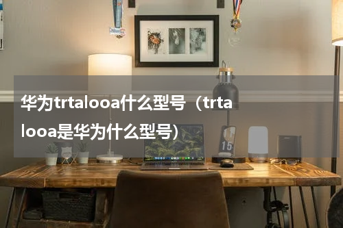华为trtalooa什么型号（trtalooa是华为什么型号）