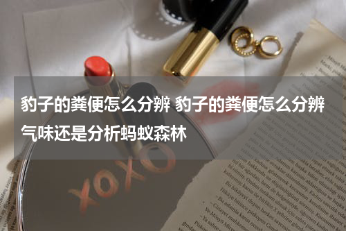 豹子的粪便怎么分辨 豹子的粪便怎么分辨气味还是分析蚂蚁森林