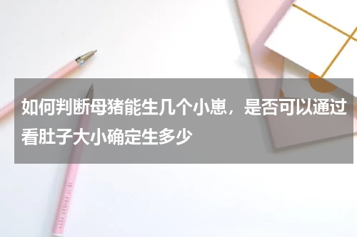 如何判断母猪能生几个小崽，是否可以通过看肚子大小确定生多少