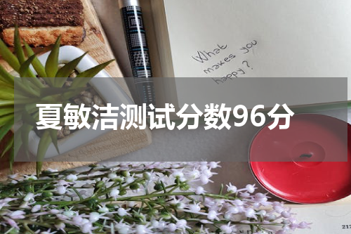 夏敏洁测试分数96分