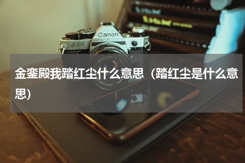 金銮殿我踏红尘什么意思（踏红尘是什么意思）