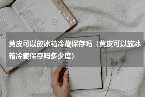 黄皮可以放冰箱冷藏保存吗（黄皮可以放冰箱冷藏保存吗多少度）