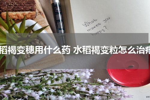 水稻褐变穗用什么药 水稻褐变粒怎么治疗