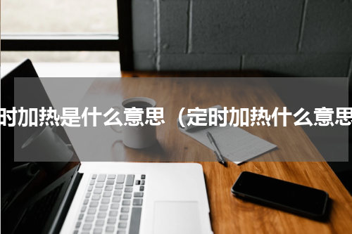 即时加热是什么意思（定时加热什么意思）