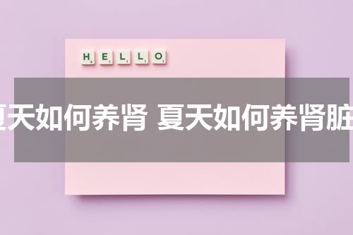 夏天如何养肾 夏天如何养肾脏