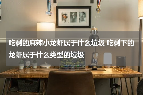 吃剩的麻辣小龙虾属于什么垃圾 吃剩下的龙虾属于什么类型的垃圾